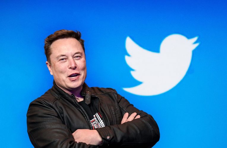 Qué hará Elon Musk con Twitter