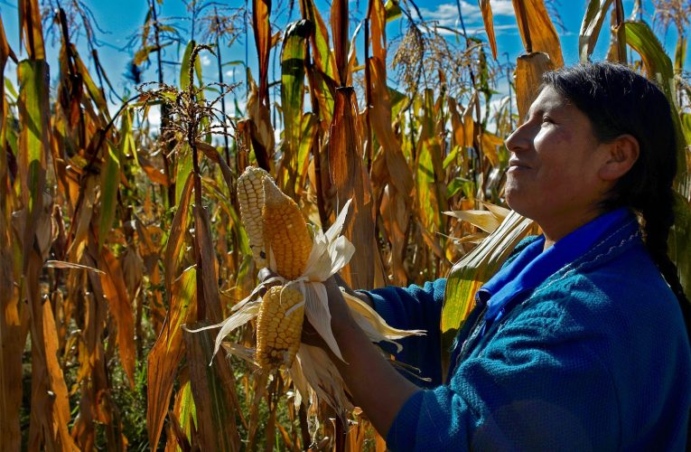 De la defensa del maíz a la salvación del planeta