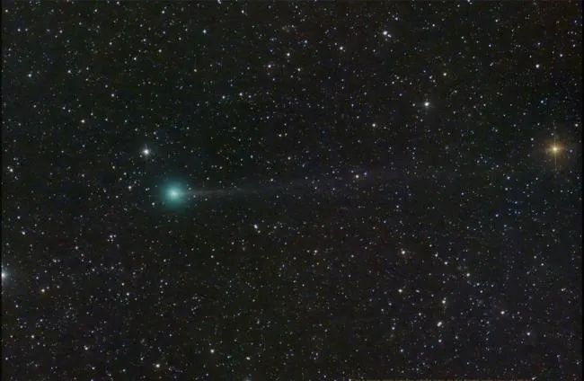 Todo Sobre Nishimura El Cometa Recién Descubierto Que Podremos Ver En Septiembre › El Narrador 5151
