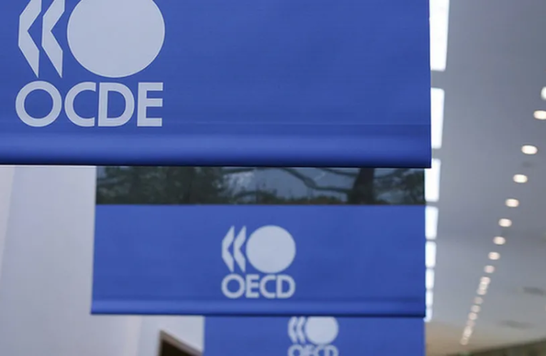 OCDE considera al sector público como principal motor de inversión en América Latina