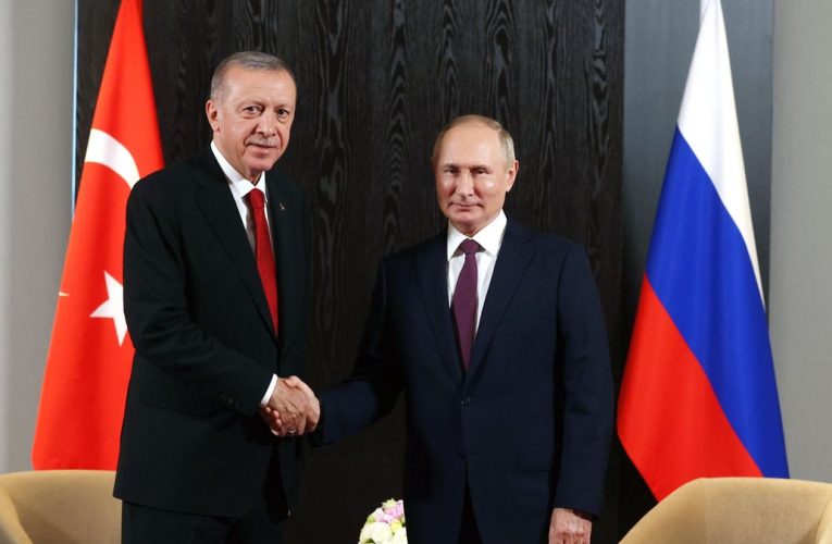 Las negociaciones de Putin y Erdogan se centrarán en lazos bilaterales, Siria y Ucrania